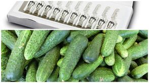 ricette per maschere per il ringiovanimento della pelle delle mani